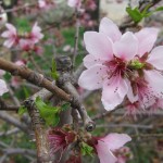 IMG_5740 IMG_5740