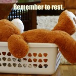 restbear