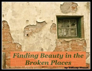 Finding Beauty in Brokenness