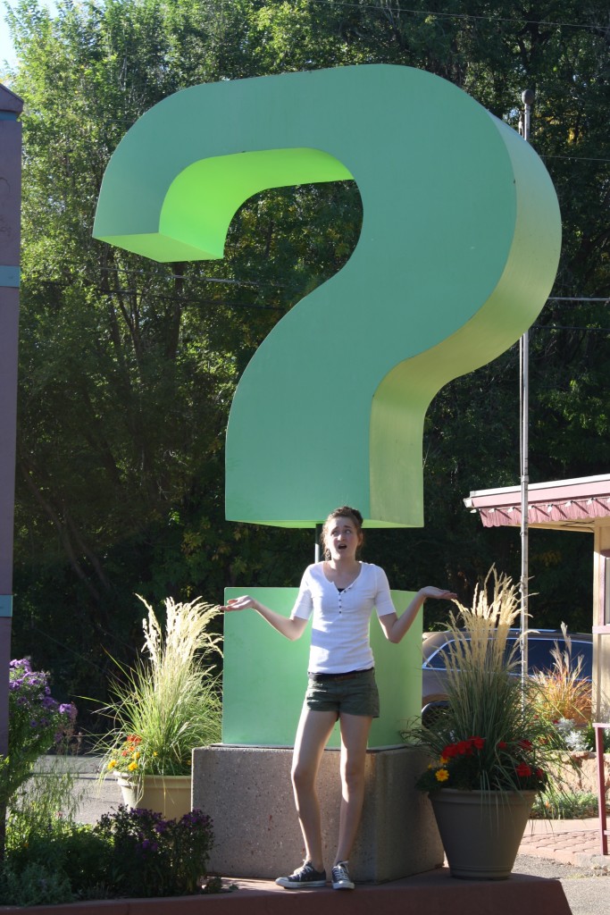 Questions about Life