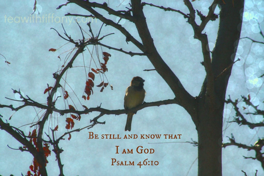 Psalm 46:10
